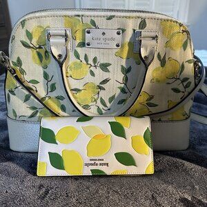 Kate Spade Top Handle/Shoulder Strap with Wallet.